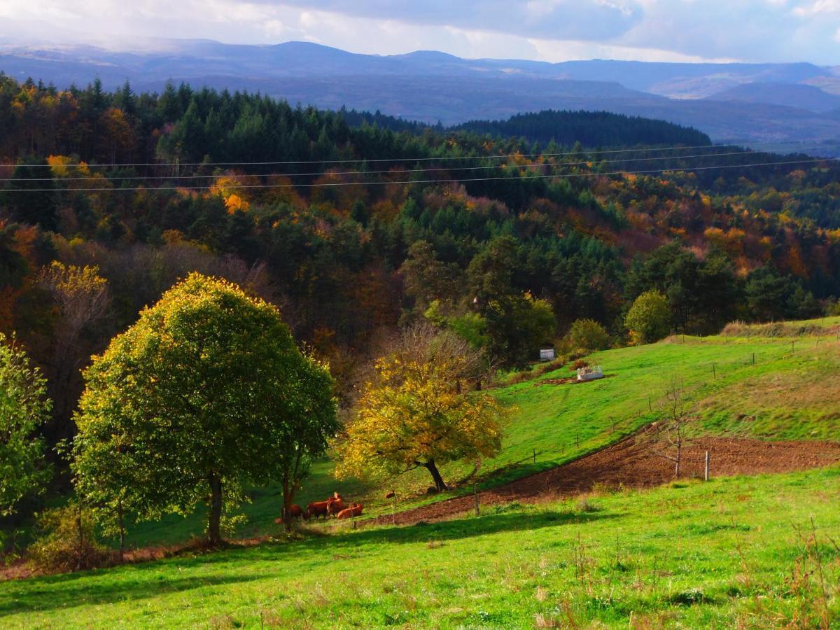 Le Vallon D'Armandine, Gite Ecologique Auvergne Saint-Hilaire  Bagian luar foto