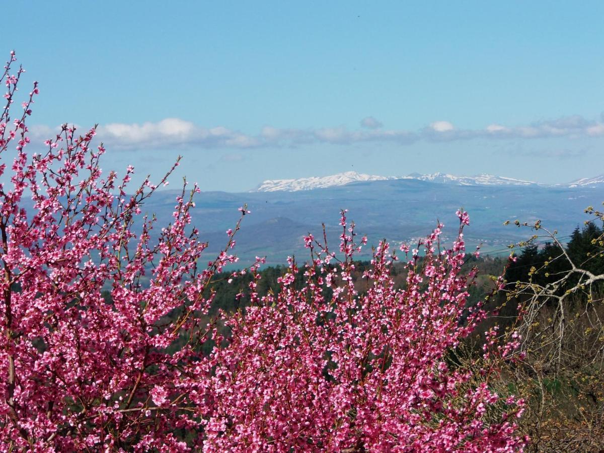 Le Vallon D'Armandine, Gite Ecologique Auvergne Saint-Hilaire  Bagian luar foto