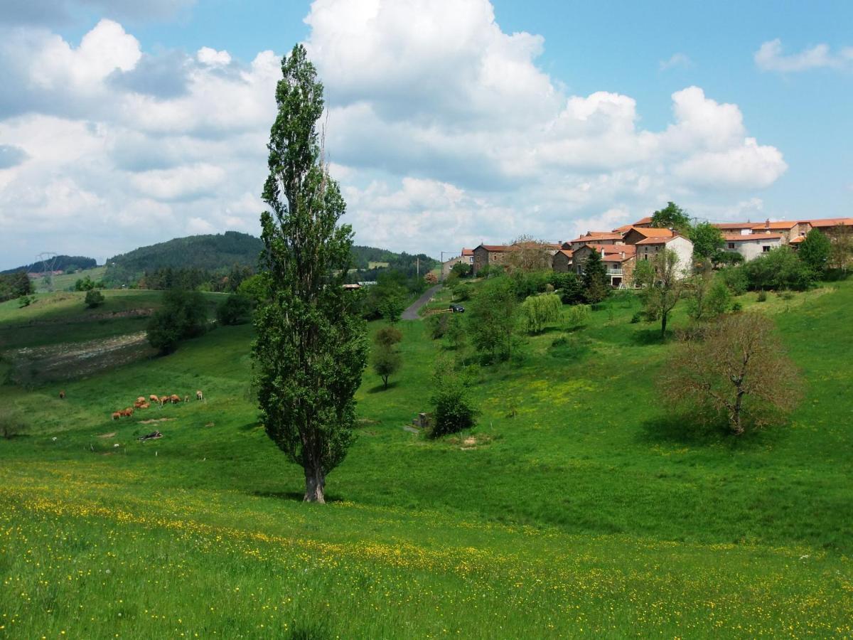 Le Vallon D'Armandine, Gite Ecologique Auvergne Saint-Hilaire  Bagian luar foto